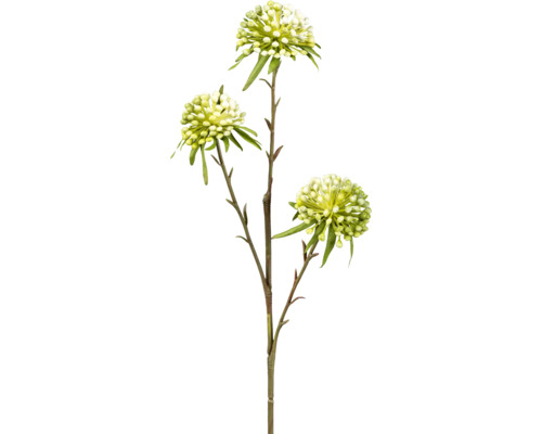 Umelá rastlina okrasný cesnak Allium 62 cm zeleno-biela