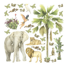 Ilustrácia zvierat a rastlín savany