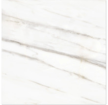 Dlažba Obklad imitácia mramoru LUCCA Bianco Gold mat 120x120 cm