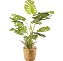 Umelá rastlina Monstera v prútenom košíku