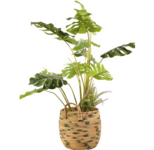 Umelá rastlina Monstera v prútenom košíku na dekoráciu