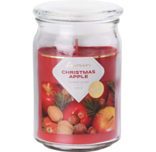 Vonná sviečka v pohári s vôňou jabĺk a vianočného korenia, 453 gramov