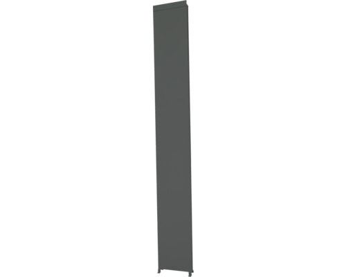 Dekorativný panel Mirador Classic 31x235 cm čierny