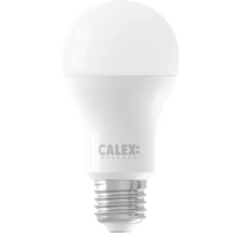 LED žiarovka Calex Holland