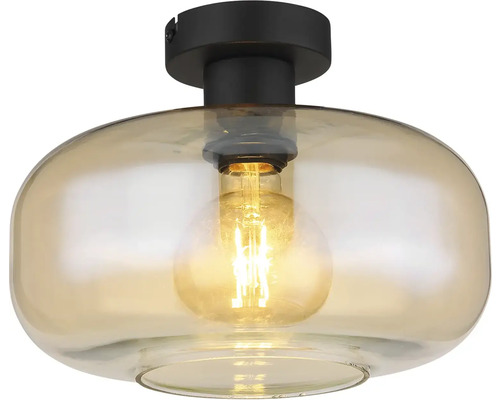 Stropné svietidlo so skleneným tienidlom a svetelným zdrojom