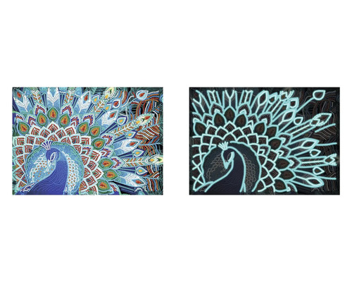 Diamantová maľba s motívom páva, zobrazená v dvoch variantoch