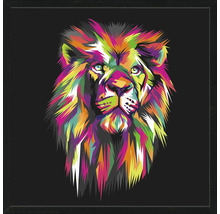 Obraz v ráme Colorful Lion Head II 53x53 cm