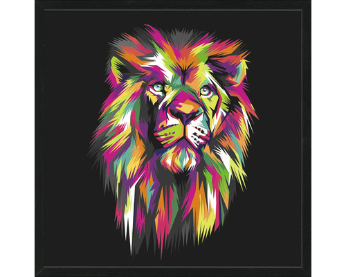 Obraz v ráme Colorful Lion Head II 53x53 cm