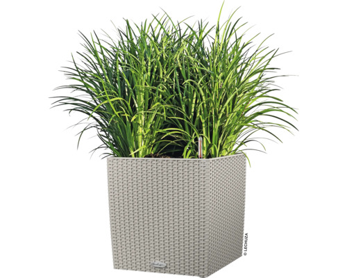 Štvorcový kvetináč so zelenými rastlinami