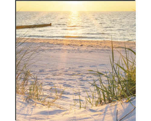 Pláž s morom a dunami v slnečnom svetle