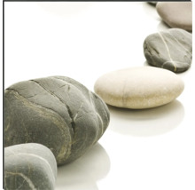 Obkladové panely do kúpeľne mySpotti Shower Stone Path 210x100 cm SH-255150-1256-HB