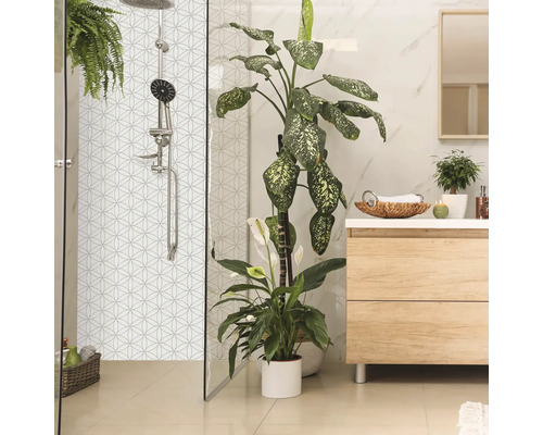 Svetlá kúpeľňa so sprchou, umývadlovou skrinkou a izbovými rastlinami pre príjemnú atmosféru.