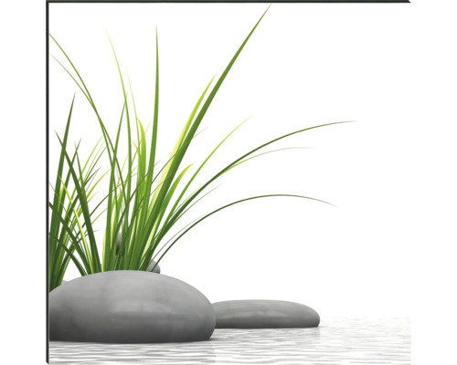 Ilustrácia s trávami a kameňmi vo vode