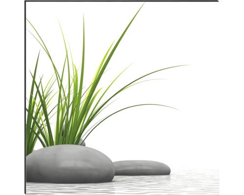 Ozdobné kamene s okrasnou trávou vo vode
