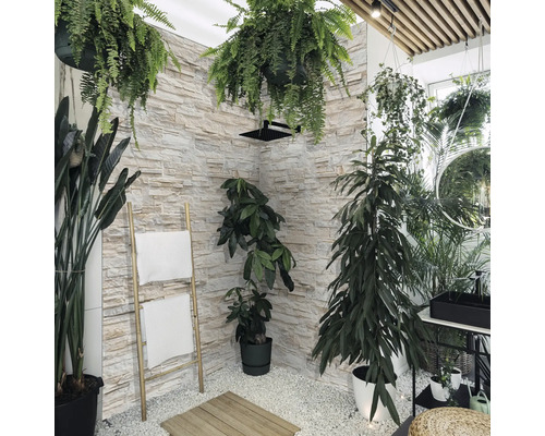 Priestranný sprchovací kút s rastlinami, rebríkom na uteráky a kamennou stenou