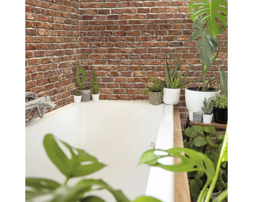 Kúpeľňa s tehlovou stenou a rastlinami