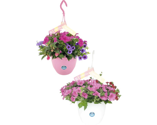Blooming Joy Mother FloraSelf závesný kvetináč Ø 27 cm