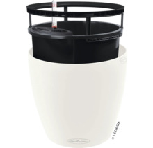 Kvetináč Lechuza so zavlažovacím systémom