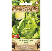 Balenie semien hlávkového šalátu Alamer