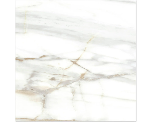 Dlažba Obklad imitácia mramoru LUCCA Bianco Gold lesklá 60x60 cm