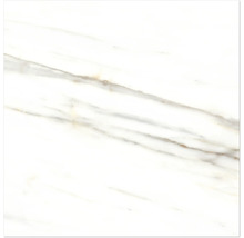 Dlažba Obklad imitácia mramoru LUCCA Bianco Gold lesklá 120x120 cm