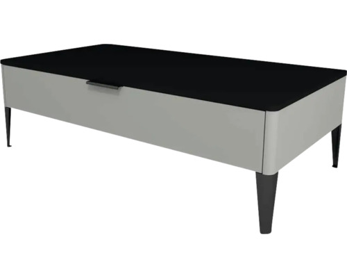 Kúpeľňová skrinka nízka Devo Lotos Lotos sivá/čierna 100 x 31 x 53 cm LF-SZS1S100x31-F105 Moderný konferenčný stolík s úložným priestorom a nohami
