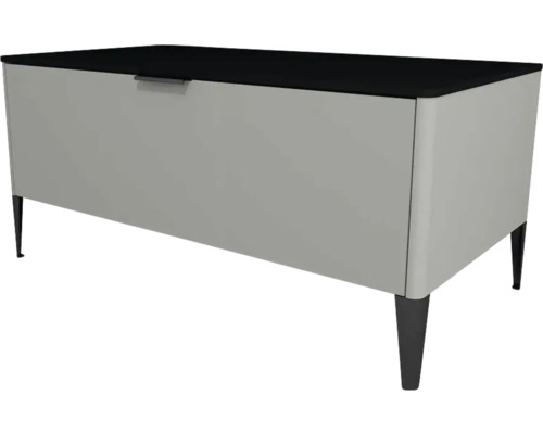 Kúpeľňová skrinka nízka Devo Lotos sivá/čierna 100 x 46 x 53 cm LF-SZS1S100x46-F105 Úložný box s vekom a nožičkami