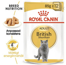 Kapsička pre mačky Royal Canin British Shorthair 85 g-thumb-2