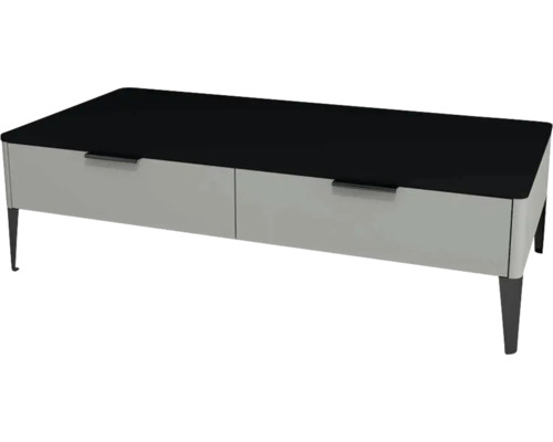 Kúpeľňová skrinka nízka Devo Lotos oceľovo sivá/čierna 110 x 31 x 53 cm LF-SZS2SN110x31-F105 Konferenčný stolík s dvoma zásuvkami a úložným priestorom