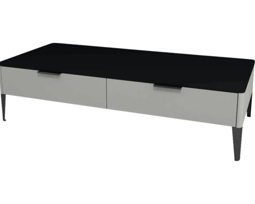 Kúpeľňová skrinka nízka Devo Lotos oceľovo sivá/čierna 120 x 31 x 53 cm LF-SZS2SN120x31-F105 Moderný obývací stolík so zásuvkami a nohami