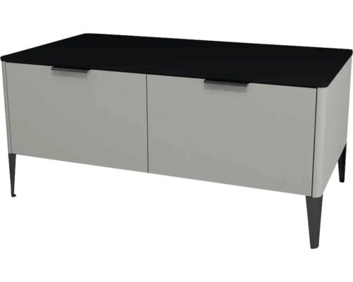 Kúpeľňová skrinka nízka Devo Lotos oceľovo sivá/čierna 100 x 46 x 53 cm LF-SZS2SW100x46-F105 Skrinka s dvomi dvierkami a nožičkami