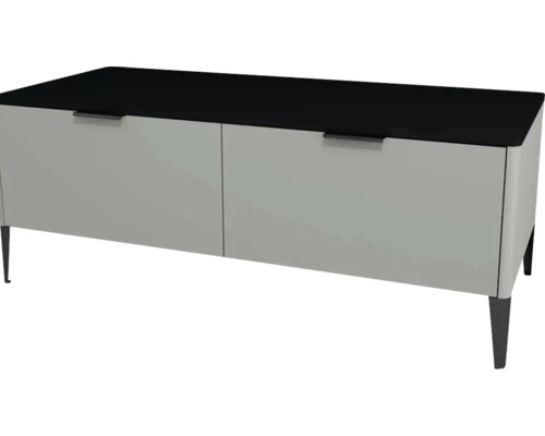 Kúpeľňová skrinka nízka Devo Lotos oceľovo sivá/čierna 120 x 46 x 53 cm LF-SZS2SW120x46-F105 Skrinka s dvomi dvierkami, sklenená doska