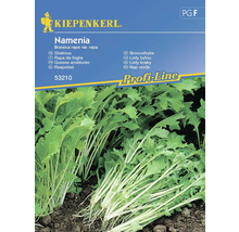 Listová kvaka Namenia Kiepenkerl