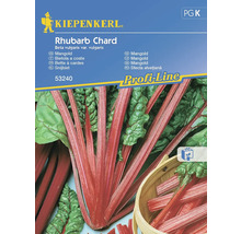 Mangold Rhubarb Chard Kiepenkerl