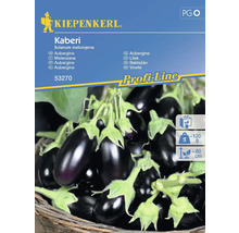 Baklažán Kaberi F1 Kiepenkerl