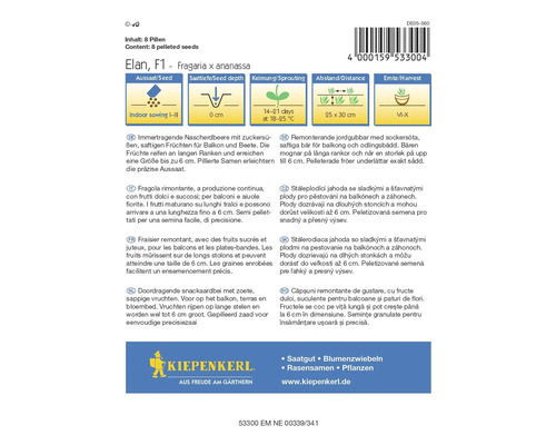 Balenie semien jahôd Elan F1 pre vnútorné použitie