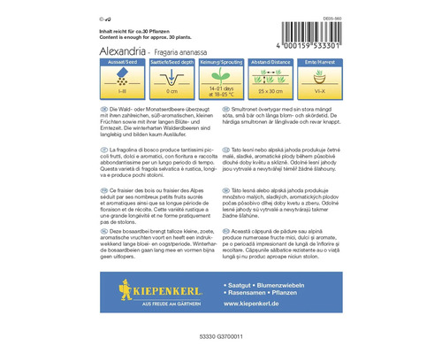 Balenie semien jahôd Kiepenkerl Alexandria Fragaria Ananassa