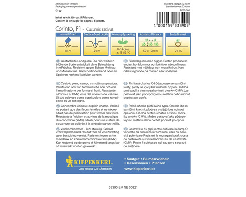 Balenie semien uhorky Corinto F1