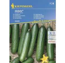Kiepenkerl Midele semienka šalátovej uhorky