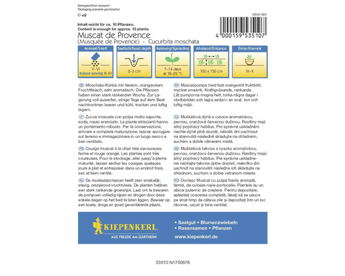 Balíček semien tekvice Muškátová Provence