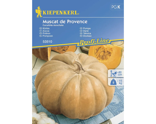 Tekvica Muscat de Provence Kiepenkerl