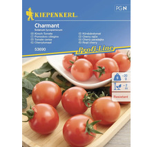 Paradajka cherry Charmant F1 Kiepenkerl