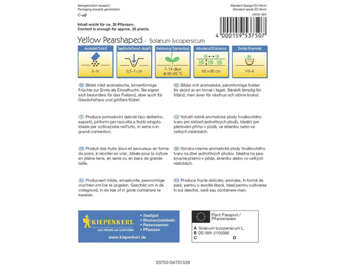 Balenie semien žltých hruškovitých paradajok Solanum lycopersicum