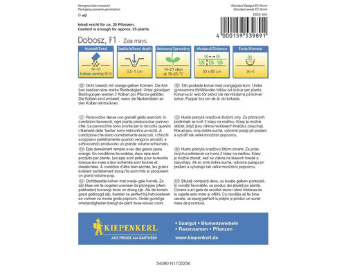 Balíček semien kukurice Dobosz F1