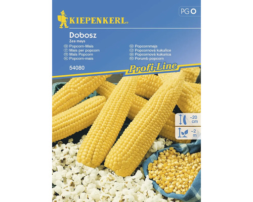 Kukurica Popcorn Dobosz F1 Kiepenkerl
