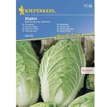 Kiepenkerl Kilakin Čínska kapusta balenie semien