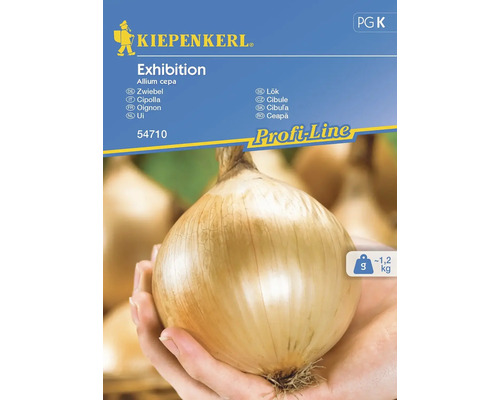 Cibuľa Exhibition Kiepenkerl