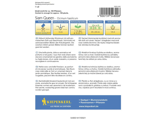 Balenie semien bazalky Siam Queen s návodom na siatie, hĺbku siatia, klíčenie, vzdialenosť a zber