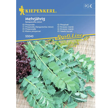 Balenie semien Kiepenkerl Pimpinelle trvalka