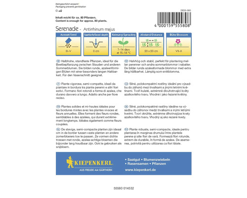 Balíček semien kvetov Serenade Antirrhinum Majus